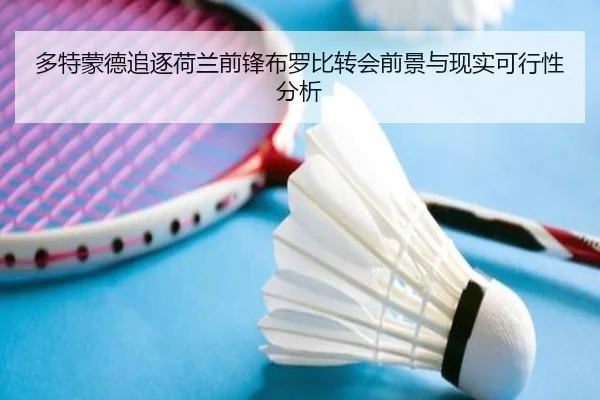 多特蒙德追逐荷兰前锋布罗比转会前景与现实可行性分析（kaiyun）
